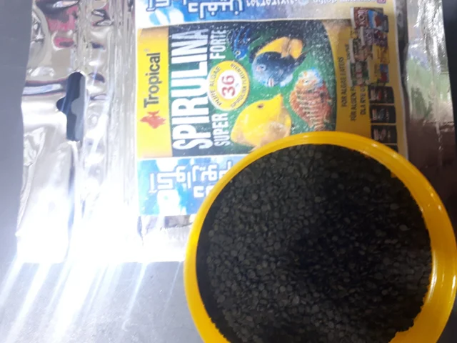 super spirlina forte 36%